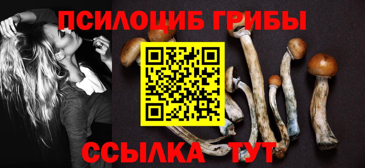 Галлюциногенные грибы мухоморы  продажа наркотиков  Коркино  Вход с VPN 
