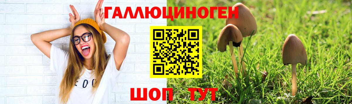 Галлюциногенные грибы MAGIC MUSHROOMS Коркино